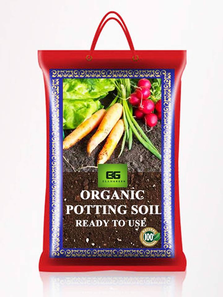 64618660_2373430692940542_2382452461131530240_n