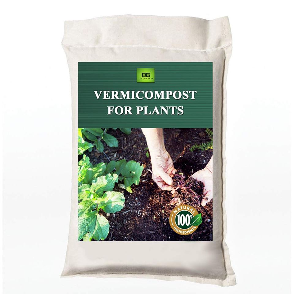 64644323_2374153782868233_7125037490624266240_n