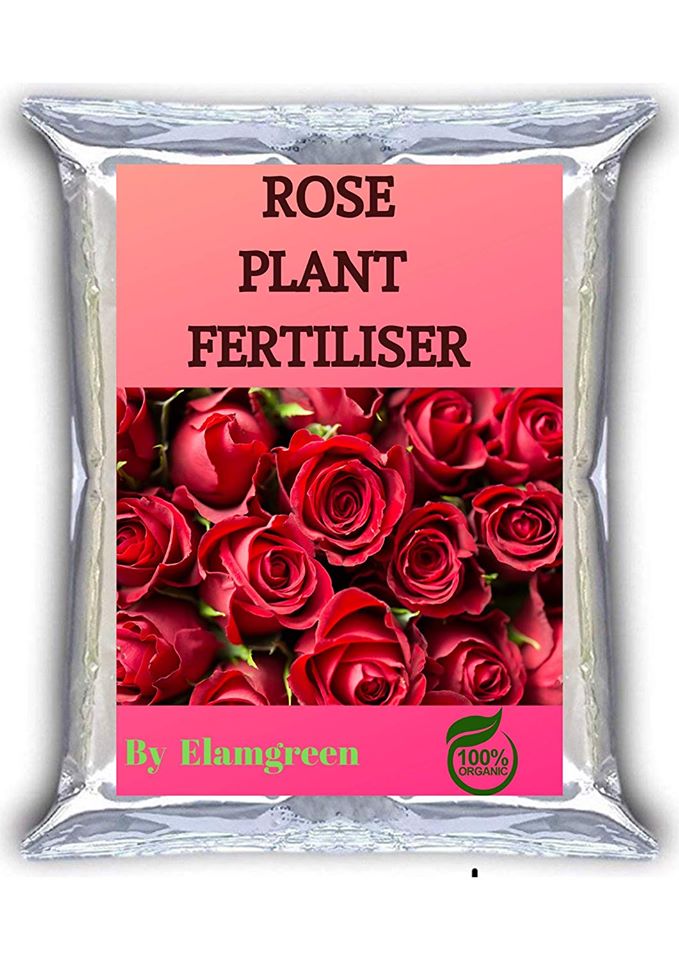 64778139_2374155012868110_7938684268501270528_n